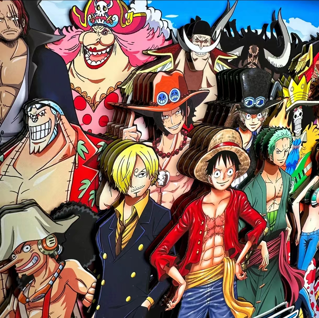 ONE PIECE CANVAS